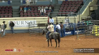 A Judges Perspective: 2016 AQHA Senior Tie-Down Roping