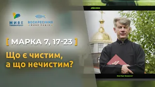 Що є чистим, а що нечистим? Марко 7, 17-23 | Святе Письмо з о. Євгеном Станішевським