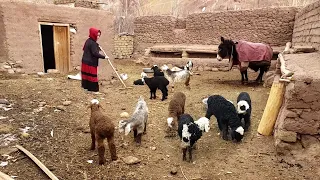 Early Morning Routine in Mountain Village | Afghanistan Village Life