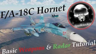 Fox One! | Basic Weapons and Radar Tutorial for the DCS: F/A-18C Hornet!