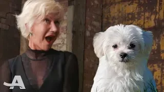 Helen Mirren Reacts to Puppies (ADORABLE!)