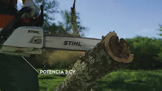 Motosierra STIHL MS 251