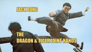 Wu Tang Collection - Dragon And Tiger Joint Hands