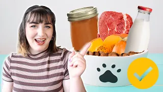 Upgrade Your Kibble INSTANTLY! | Toppers for Cats and Dogs