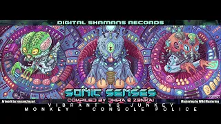 VIBRANT VS JUNKEY MONKEY - Console Police (VA Sonic Senses by Z3nkai & Dhira CD1)