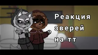 Реакция зверей на тт | tiny bunny | jopa