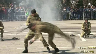 День Росгвардии 27 марта 2019 г. Сочи