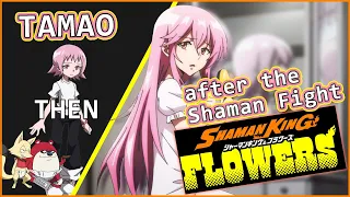 Tamao All Grown Up [Part 1] | From Shaman King Flowers Ep1