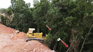 Ep20| Beautiful Activities Of Excellent Skill Dozer Operated Clearing Trees By Pushing Stone & Rock