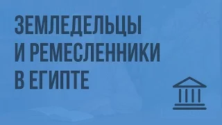 Как жили земледельцы и ремесленники в Египте. Видеоурок по Всеобщей истории 5 класс