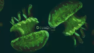 Danny Ocean - Dembow (Official Audio)