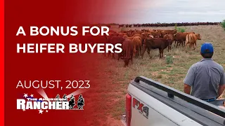 Nunley Brothers - The American Rancher - 08-21-2023