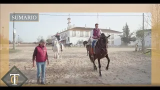 Los Caballos vuelven al Rocío