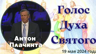 Голос Духа Святого - проповедует Антон Плачинта