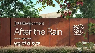 After The Rain | Total Environment