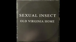 Sexual Instinct - Old Virginia Home