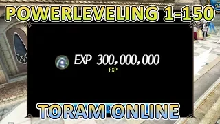 Toram Online LVL 1-150 POWERLEVELING HD | Disax Leroy