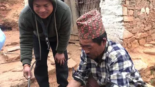 Nepali village lifestyle | Pork pig cutting at village