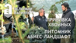 Зеленый Патруль в питомнике Абиес Ландшафт