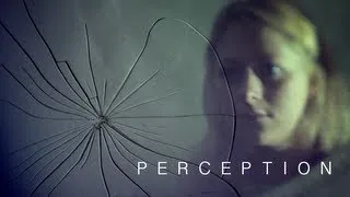 Perception (2013) - Short Film