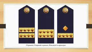 Знаки различия национальной полиции Латвии