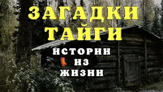 Жуткие случаи в тайге/ Истории таёжных охотников/ Страшные истории