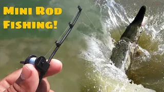 Micro Fishing Rod Challenge!