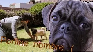 PONLE NOMBRE AL PERRO! :'D | JuegaGerman