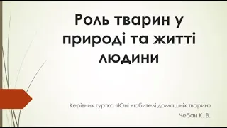 Роль тварин у природі та житті людини