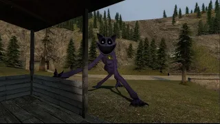 This purple cat should get of my PROPERTY!!!