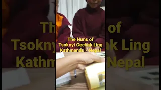 Tsoknyi Gechak Ling Nunnery| Chobhar| Nepal| #tibetan #tibetanvlog #nepal #gangtok