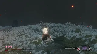 Sekiro - Inner Isshin mortal draw counter head-on without spinning umbrella