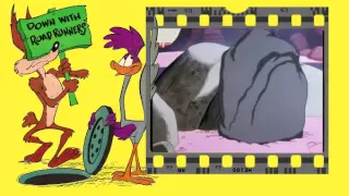 The Road Runner Highlight Episode 8 Gee Whiz z z z z z z