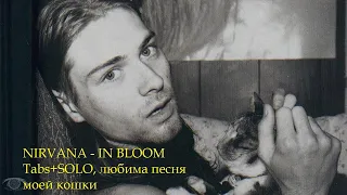 Nirvana - in bloom, как играть на гитаре аккорды (chords)+соло(solo), подробный разбор