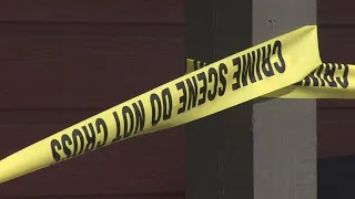 3 dead in Arlington double murder-suicide, police say