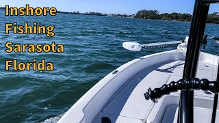Sarasota Florida Inshore Fishing Trip