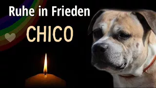 Chico Hannover Mahnwache  ( Lied )