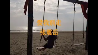 爱我别走  张震岳  歌词