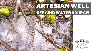 Artesian Well - My Tiny House Off Grid Water System