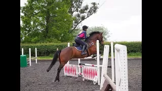 Double Clear 75cm | Nothing Holding Me Back