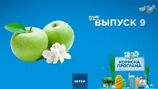 Как выбрать спелые и вкусные яблоки | ПОЛЕЗНАЯ ПРОГРАММА. Выпуск 9 — 17.09.2019