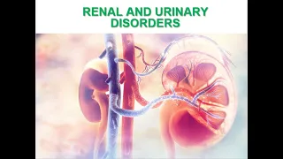 Pediatrics Nephrology Nephrotic Syndrome Glomerulonephritis Hemolytic Uremic  Epispadias Hypospadias