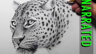 How to Draw a Leopard [Narrated, Step by Step]