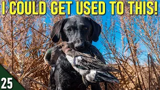 Duck Hunting a HIDDEN Spot with a DOG!  | 28 Gauge Duck Hunting 2022