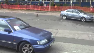 День автомобилиста в Луганске