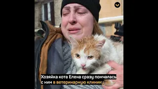 В Волгограде пожарные спасли и откачали котика