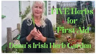 FIVE First-Aid Herbs