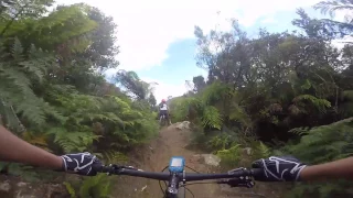 Blue Derby - MTB Crash