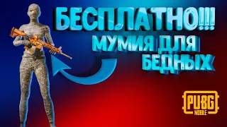 ПУБГ МОБАЙЛ , КАК ПОЛУЧИТЬ МУМИЮ БЕСПЛАТНО !!! МЕГА ХАЛЯВА