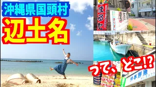 沖縄県国頭村辺土名ってどんな街？【ノマド生活 沖縄移住】vlog